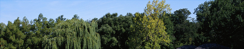 SAINTE-FOY-LES-LYON,